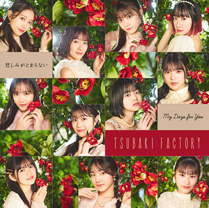 つばきファクトリー　DVD 4点セット つばきファクトリーDVDマガジンVol.35 CM - YouTube