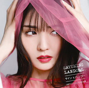未開封！道重さゆみ「道重主義」Lサイズ 未開封！道重さゆみ「道重主義」Lサイズ 【公式通販】