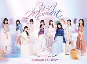 つばき 7c2fc070bd7cd33614952d0ce27106