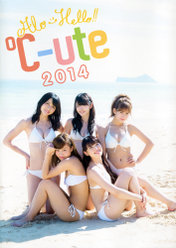 『アロハロ！ ℃-ute 2014写真集』：
