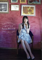 やじマップSweets修行の旅