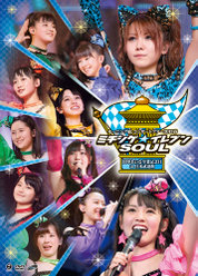 モーニング娘。コンサートツアー2013春ミチシゲ☆イレブンSOUL〜田中れいな卒業記念日〜 in日本武道館：