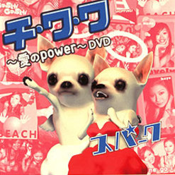 チ・ワ・ワ ～愛のpower～DVD：