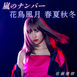 嵐のナンバー/花鳥風月 春夏秋冬(Special Edition)