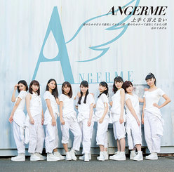 上手く言えない/愛のため今日まで進化してきた人間 愛のためすべて退化してきた人間/忘れてあげる：【初回生産限定盤A】