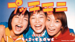 ザ・ビデオ ちょこっとLOVE：
