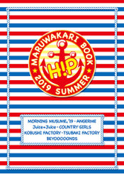 『ハロプロまるわかりBOOK 2019 SUMMER』：