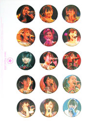 『Hello! Project 2003 楽しんじゃってます!』：