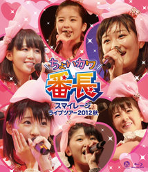 スマイレージ ライブツアー2012秋〜ちょいカワ番長〜：