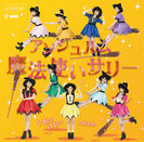 七転び八起き/臥薪嘗胆/魔法使いサリー：【初回生産限定盤C】