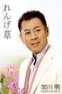 れんげ草：