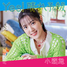 涙のTomorrow/Yes! 晴れ予報：【初回生産限定盤B】